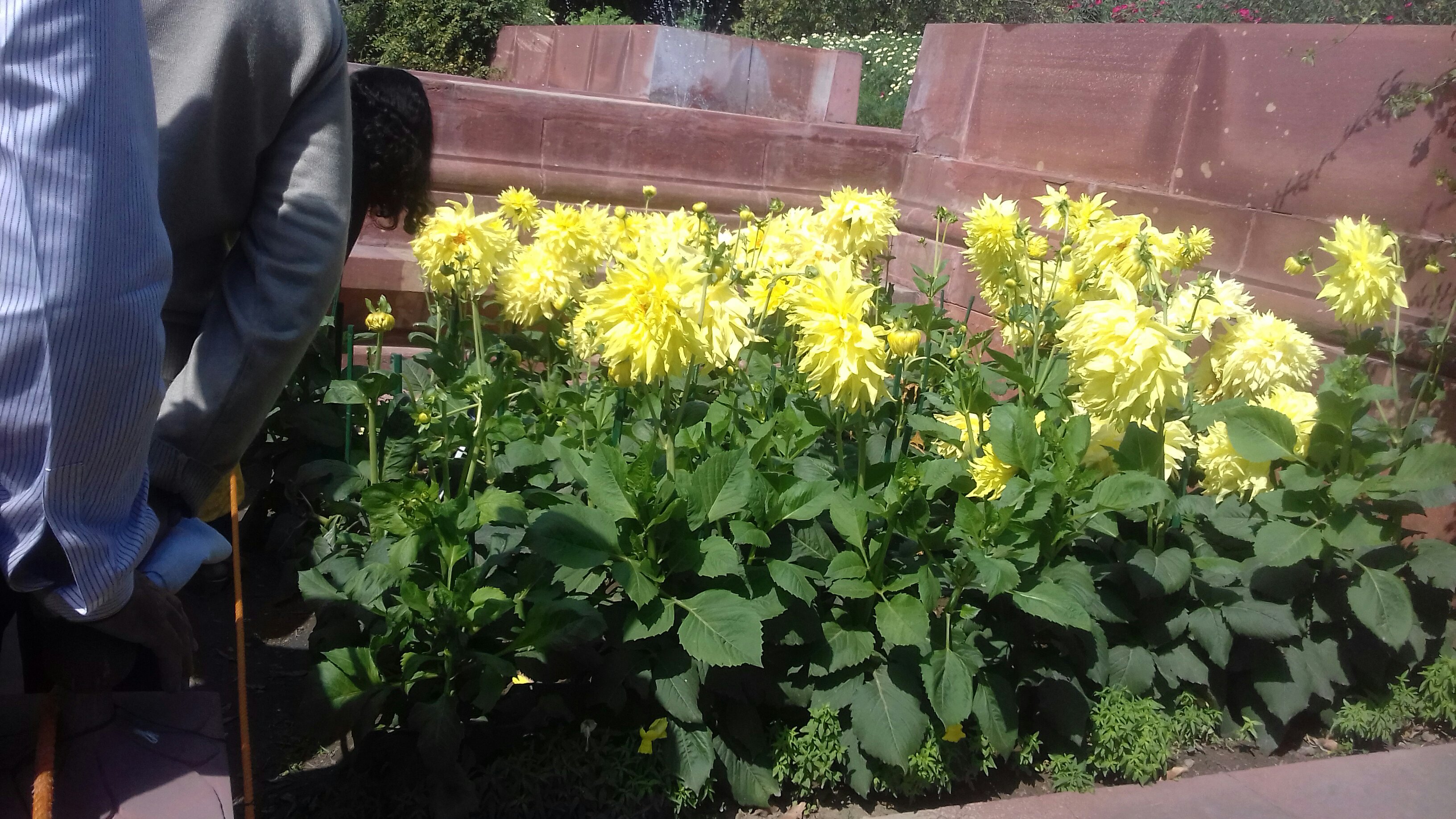 Mughal garden 