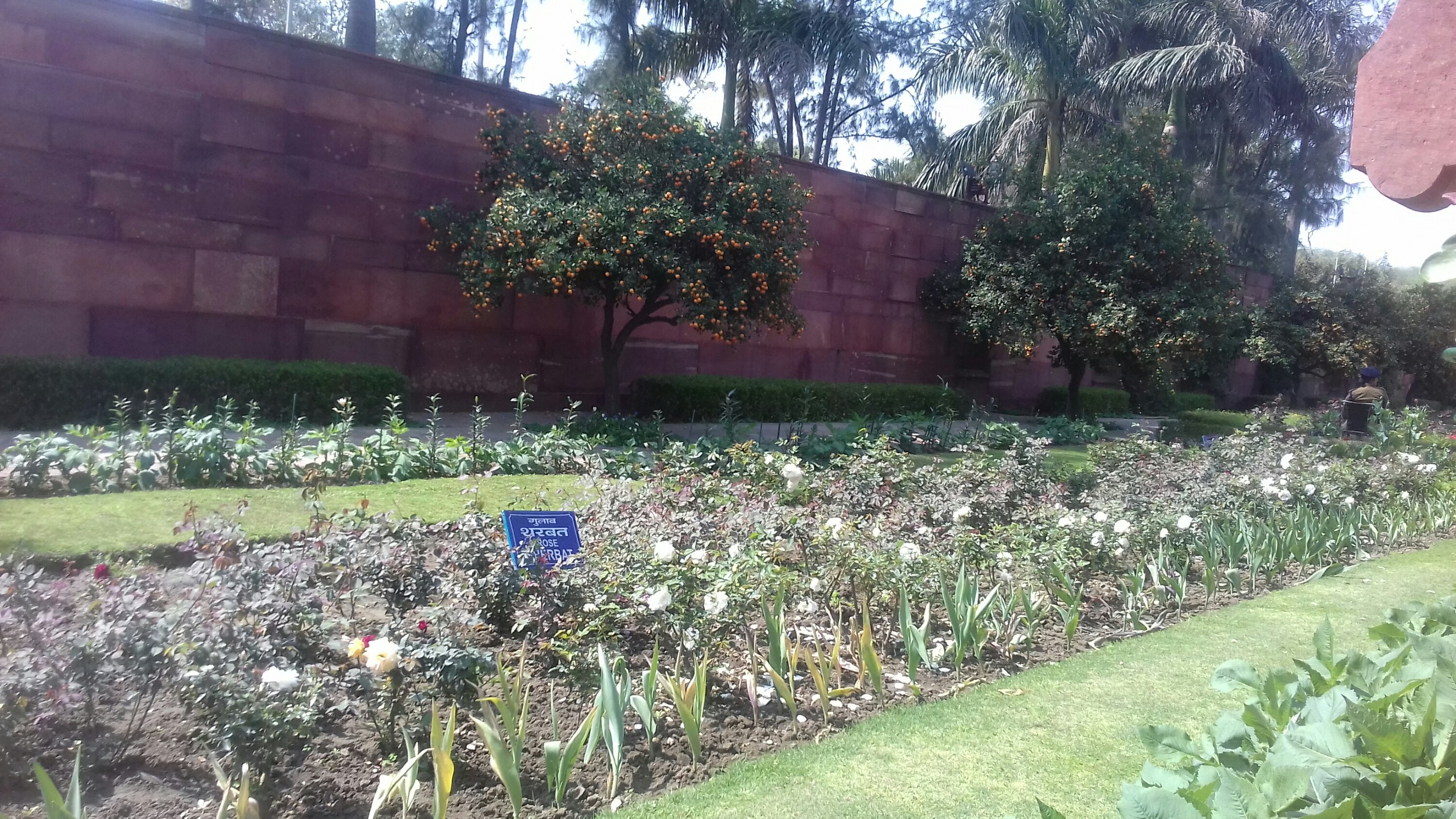 Mughal garden 